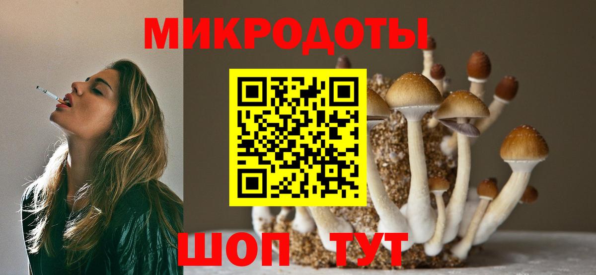 Галлюциногенные грибы Psilocybine cubensis Новошахтинск